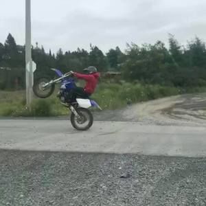 Meet your Posher, Riley